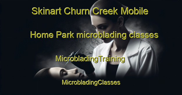 Skinart Churn Creek Mobile Home Park microblading classes | #MicrobladingTraining #MicrobladingClasses #SkinartTraining-United States