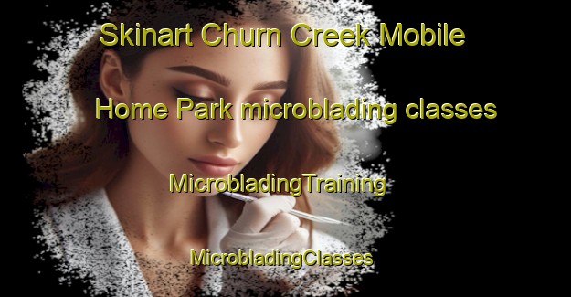 Skinart Churn Creek Mobile Home Park microblading classes | MicrobladingTraining | MicrobladingClasses | SkinartTraining-United States