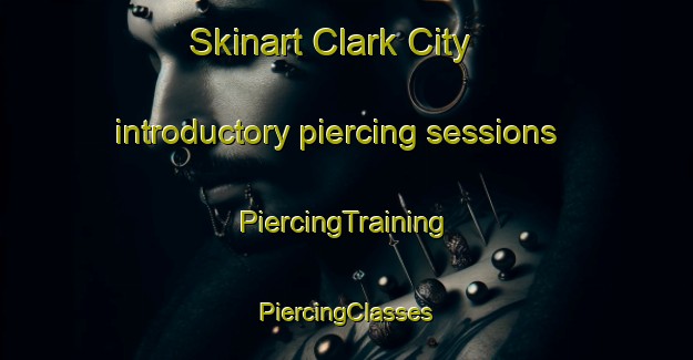 Skinart Clark City introductory piercing sessions | #PiercingTraining #PiercingClasses #SkinartTraining-United States