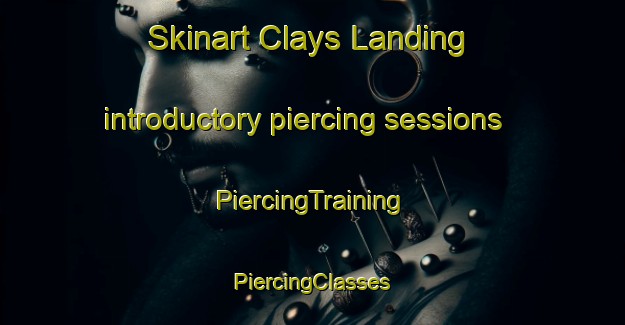 Skinart Clays Landing introductory piercing sessions | #PiercingTraining #PiercingClasses #SkinartTraining-United States