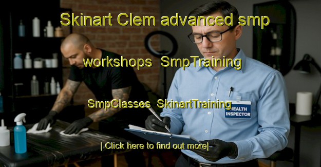 Skinart Clem advanced smp workshops | SmpTraining | SmpClasses | SkinartTraining-United States