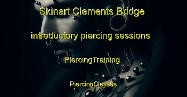 Skinart Clements Bridge introductory piercing sessions | #PiercingTraining #PiercingClasses #SkinartTraining-United States