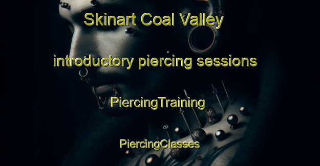 Skinart Coal Valley introductory piercing sessions | #PiercingTraining #PiercingClasses #SkinartTraining-United States