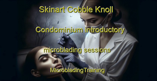 Skinart Cobble Knoll Condominium introductory microblading sessions | #MicrobladingTraining #MicrobladingClasses #SkinartTraining-United States