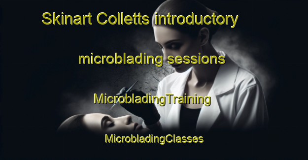 Skinart Colletts introductory microblading sessions | #MicrobladingTraining #MicrobladingClasses #SkinartTraining-United States