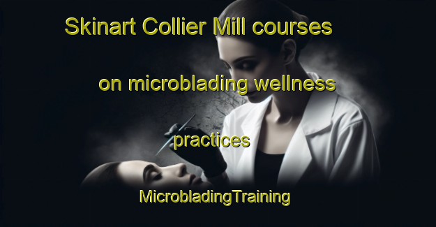 Skinart Collier Mill courses on microblading wellness practices | #MicrobladingTraining #MicrobladingClasses #SkinartTraining-United States