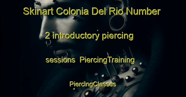 Skinart Colonia Del Rio Number 2 introductory piercing sessions | #PiercingTraining #PiercingClasses #SkinartTraining-United States