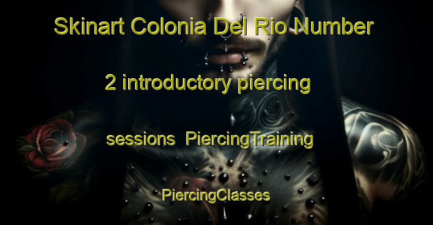 Skinart Colonia Del Rio Number 2 introductory piercing sessions | #PiercingTraining #PiercingClasses #SkinartTraining-United States