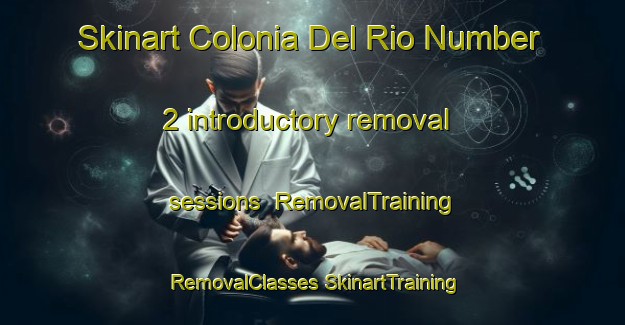 Skinart Colonia Del Rio Number 2 introductory removal sessions | #RemovalTraining #RemovalClasses #SkinartTraining-United States