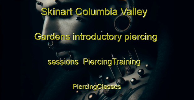 Skinart Columbia Valley Gardens introductory piercing sessions | #PiercingTraining #PiercingClasses #SkinartTraining-United States