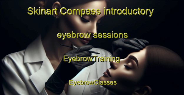 Skinart Compass introductory eyebrow sessions | EyebrowTraining | EyebrowClasses | SkinartTraining-United States