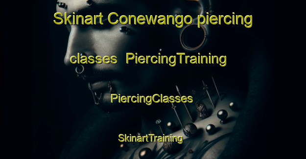 Skinart Conewango piercing classes | #PiercingTraining #PiercingClasses #SkinartTraining-United States