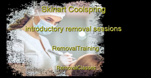 Skinart Coolspring introductory removal sessions | RemovalTraining | RemovalClasses | SkinartTraining-United States