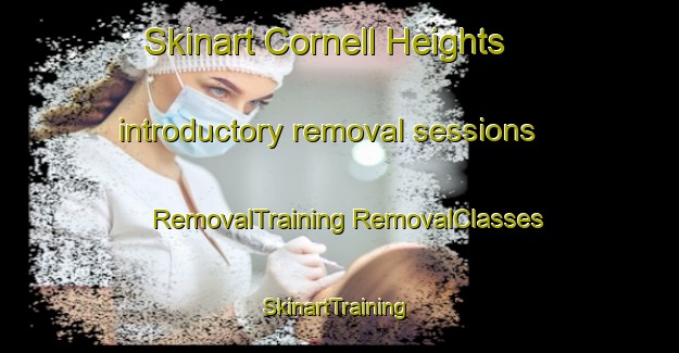 Skinart Cornell Heights introductory removal sessions | #RemovalTraining #RemovalClasses #SkinartTraining-United States