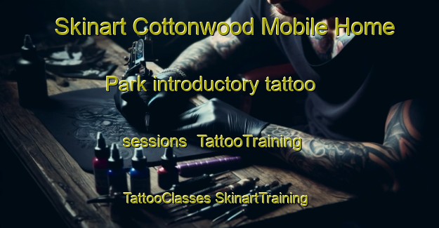 Skinart Cottonwood Mobile Home Park introductory tattoo sessions | #TattooTraining #TattooClasses #SkinartTraining-United States