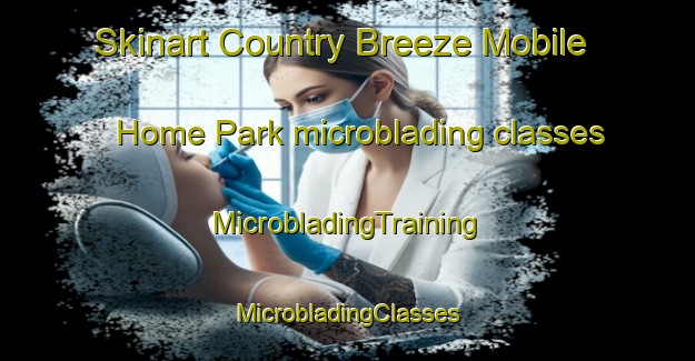 Skinart Country Breeze Mobile Home Park microblading classes | #MicrobladingTraining #MicrobladingClasses #SkinartTraining-United States