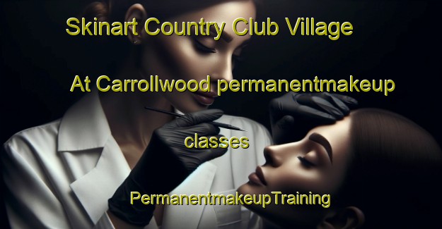 Skinart Country Club Village At Carrollwood permanentmakeup classes | #PermanentmakeupTraining #PermanentmakeupClasses #SkinartTraining-United States