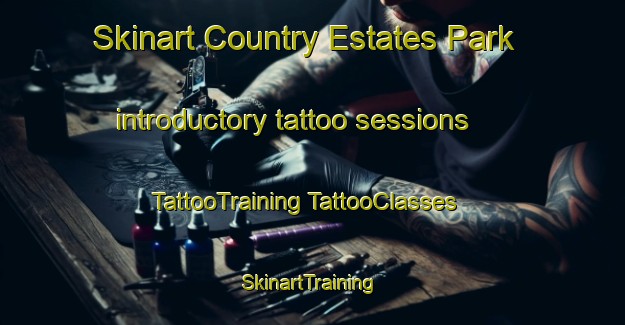 Skinart Country Estates Park introductory tattoo sessions | #TattooTraining #TattooClasses #SkinartTraining-United States