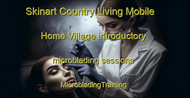 Skinart Country Living Mobile Home Village introductory microblading sessions | #MicrobladingTraining #MicrobladingClasses #SkinartTraining-United States