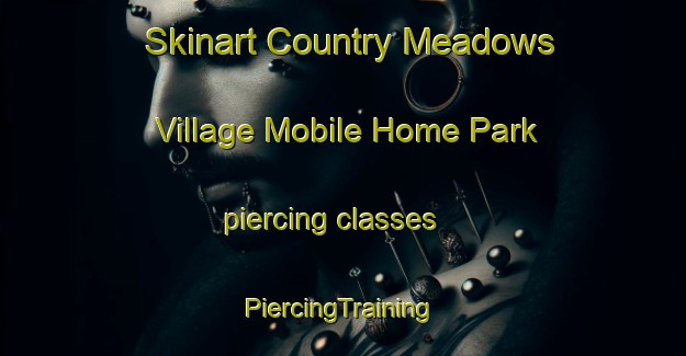 Skinart Country Meadows Village Mobile Home Park piercing classes | #PiercingTraining #PiercingClasses #SkinartTraining-United States