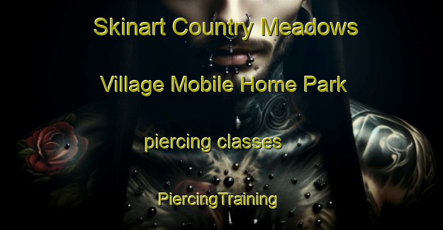 Skinart Country Meadows Village Mobile Home Park piercing classes | #PiercingTraining #PiercingClasses #SkinartTraining-United States