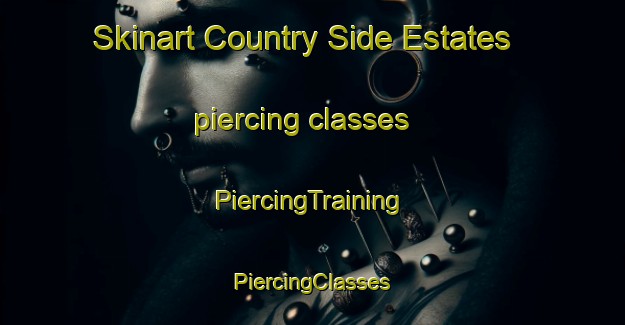 Skinart Country Side Estates piercing classes | #PiercingTraining #PiercingClasses #SkinartTraining-United States