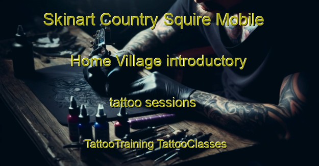 Skinart Country Squire Mobile Home Village introductory tattoo sessions | #TattooTraining #TattooClasses #SkinartTraining-United States