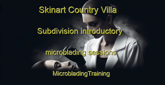 Skinart Country Villa Subdivision introductory microblading sessions | #MicrobladingTraining #MicrobladingClasses #SkinartTraining-United States