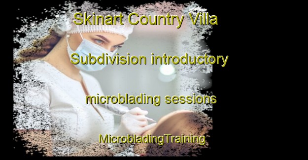 Skinart Country Villa Subdivision introductory microblading sessions | #MicrobladingTraining #MicrobladingClasses #SkinartTraining-United States