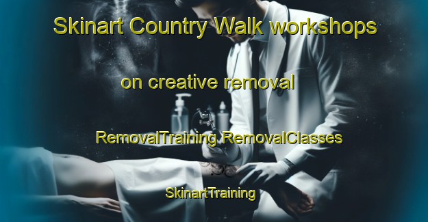 Skinart Country Walk workshops on creative removal | #RemovalTraining #RemovalClasses #SkinartTraining-United States