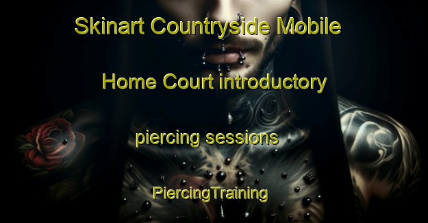 Skinart Countryside Mobile Home Court introductory piercing sessions | #PiercingTraining #PiercingClasses #SkinartTraining-United States