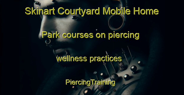 Skinart Courtyard Mobile Home Park courses on piercing wellness practices | #PiercingTraining #PiercingClasses #SkinartTraining-United States