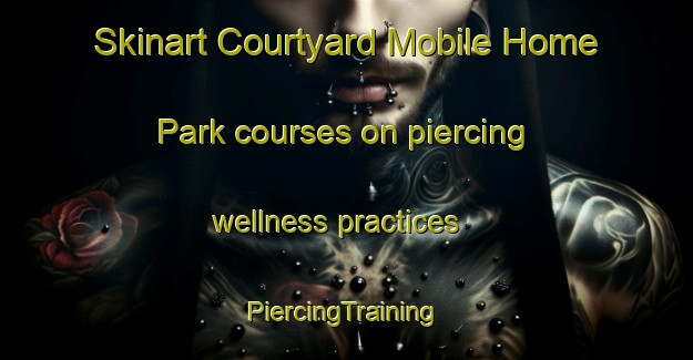 Skinart Courtyard Mobile Home Park courses on piercing wellness practices | #PiercingTraining #PiercingClasses #SkinartTraining-United States