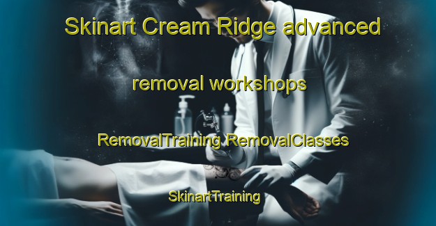 Skinart Cream Ridge advanced removal workshops | #RemovalTraining #RemovalClasses #SkinartTraining-United States