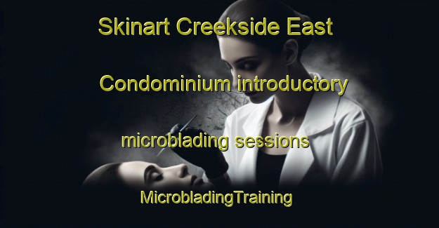 Skinart Creekside East Condominium introductory microblading sessions | #MicrobladingTraining #MicrobladingClasses #SkinartTraining-United States