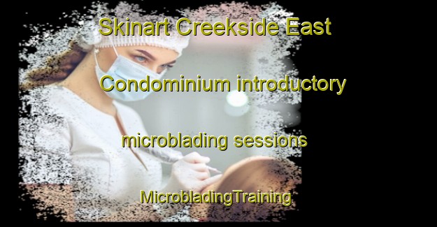 Skinart Creekside East Condominium introductory microblading sessions | #MicrobladingTraining #MicrobladingClasses #SkinartTraining-United States