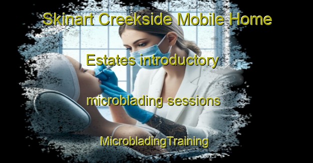 Skinart Creekside Mobile Home Estates introductory microblading sessions | #MicrobladingTraining #MicrobladingClasses #SkinartTraining-United States