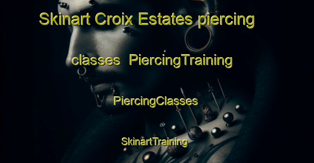 Skinart Croix Estates piercing classes | #PiercingTraining #PiercingClasses #SkinartTraining-United States