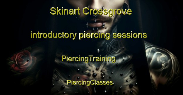 Skinart Crossgrove introductory piercing sessions | PiercingTraining | PiercingClasses | SkinartTraining-United States