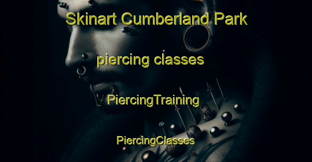 Skinart Cumberland Park piercing classes | #PiercingTraining #PiercingClasses #SkinartTraining-United States