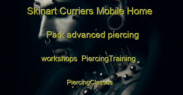 Skinart Curriers Mobile Home Park advanced piercing workshops | PiercingTraining | PiercingClasses | SkinartTraining-United States