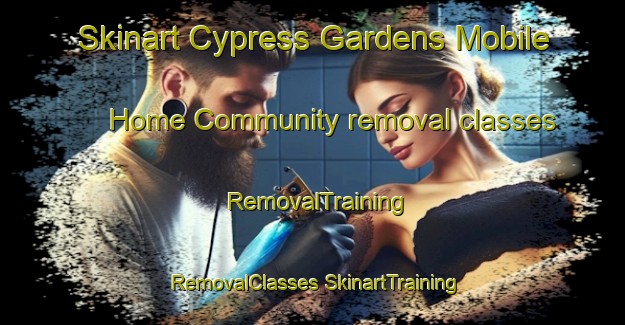 Skinart Cypress Gardens Mobile Home Community removal classes | #RemovalTraining #RemovalClasses #SkinartTraining-United States