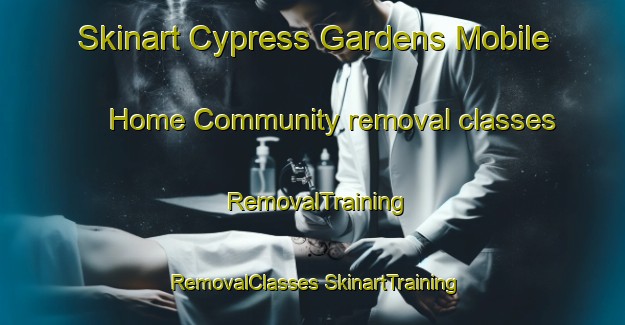 Skinart Cypress Gardens Mobile Home Community removal classes | #RemovalTraining #RemovalClasses #SkinartTraining-United States