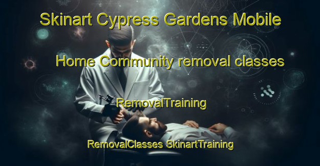 Skinart Cypress Gardens Mobile Home Community removal classes | #RemovalTraining #RemovalClasses #SkinartTraining-United States