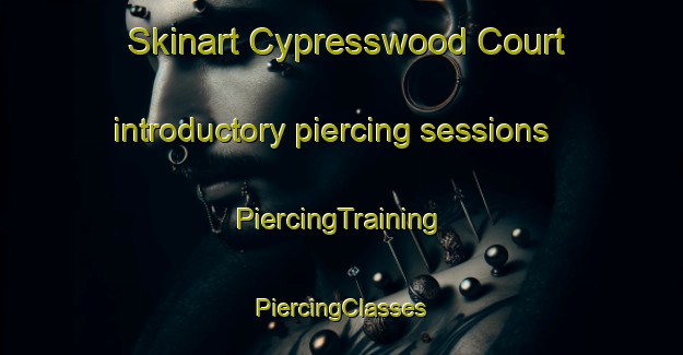 Skinart Cypresswood Court introductory piercing sessions | #PiercingTraining #PiercingClasses #SkinartTraining-United States