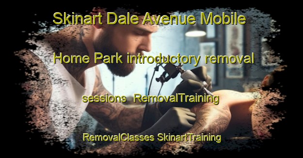 Skinart Dale Avenue Mobile Home Park introductory removal sessions | #RemovalTraining #RemovalClasses #SkinartTraining-United States