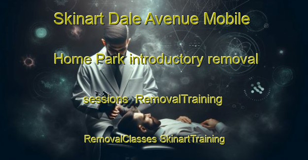 Skinart Dale Avenue Mobile Home Park introductory removal sessions | #RemovalTraining #RemovalClasses #SkinartTraining-United States