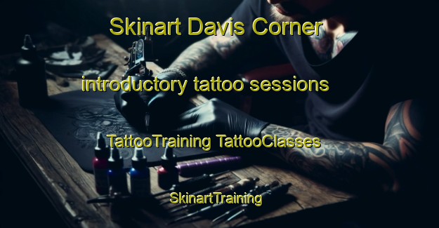 Skinart Davis Corner introductory tattoo sessions | #TattooTraining #TattooClasses #SkinartTraining-United States