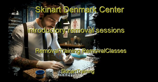 Skinart Denmark Center introductory removal sessions | #RemovalTraining #RemovalClasses #SkinartTraining-United States