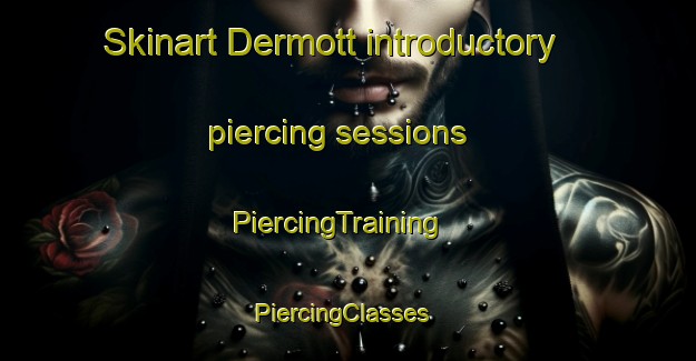 Skinart Dermott introductory piercing sessions | PiercingTraining | PiercingClasses | SkinartTraining-United States